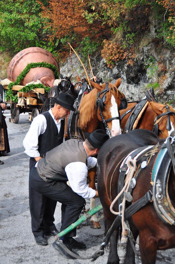 Prevoz replike največjega zvona na Sv. goro  - foto povečava