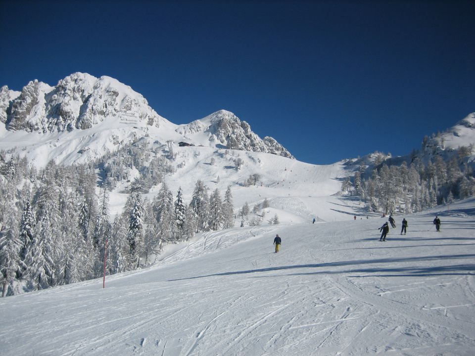Mokrine 26.1.2013 - foto povečava