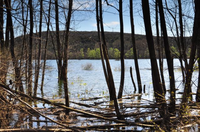 Doberdobsko jezero - foto