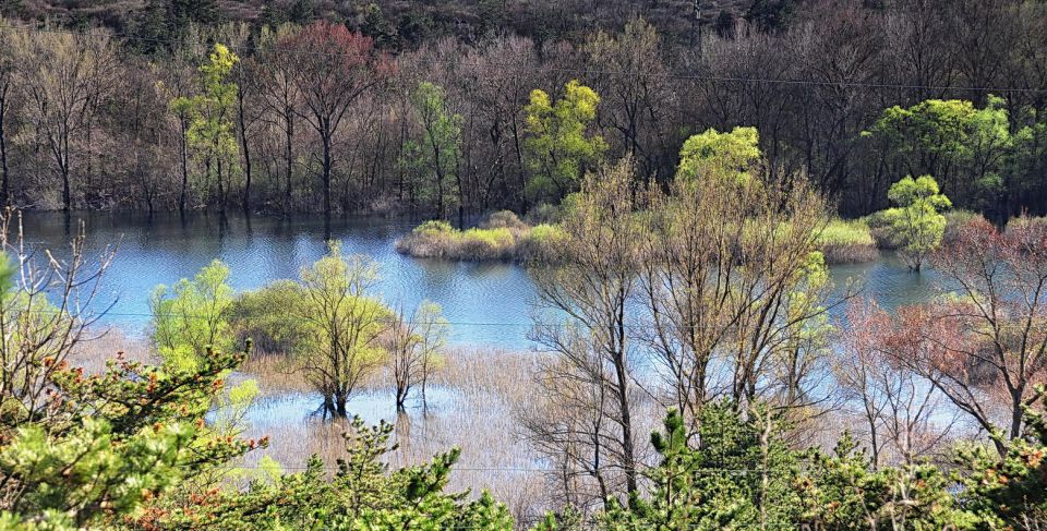 Doberdobsko jezero - foto povečava