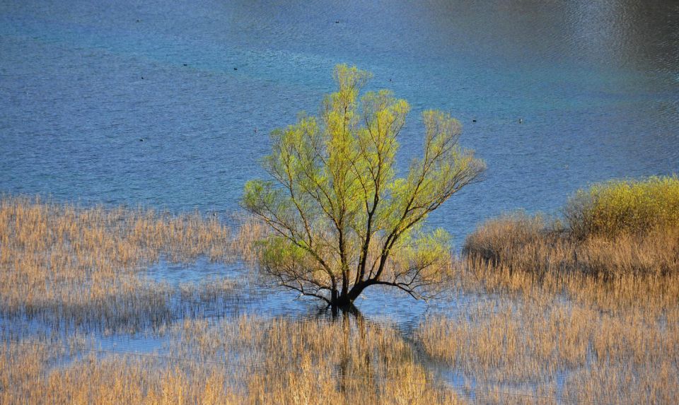 Doberdobsko jezero - foto povečava