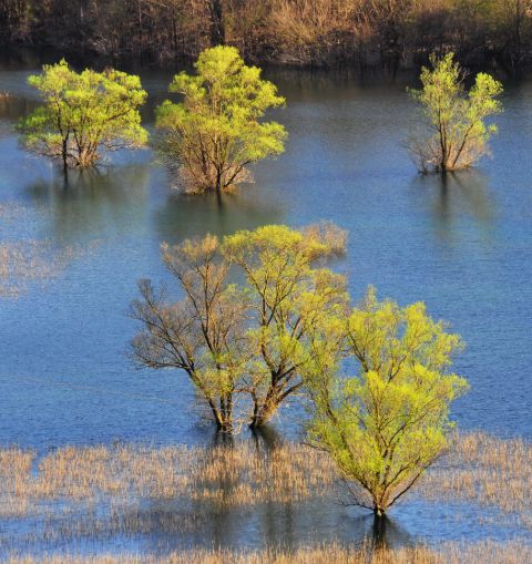 Doberdobsko jezero - foto