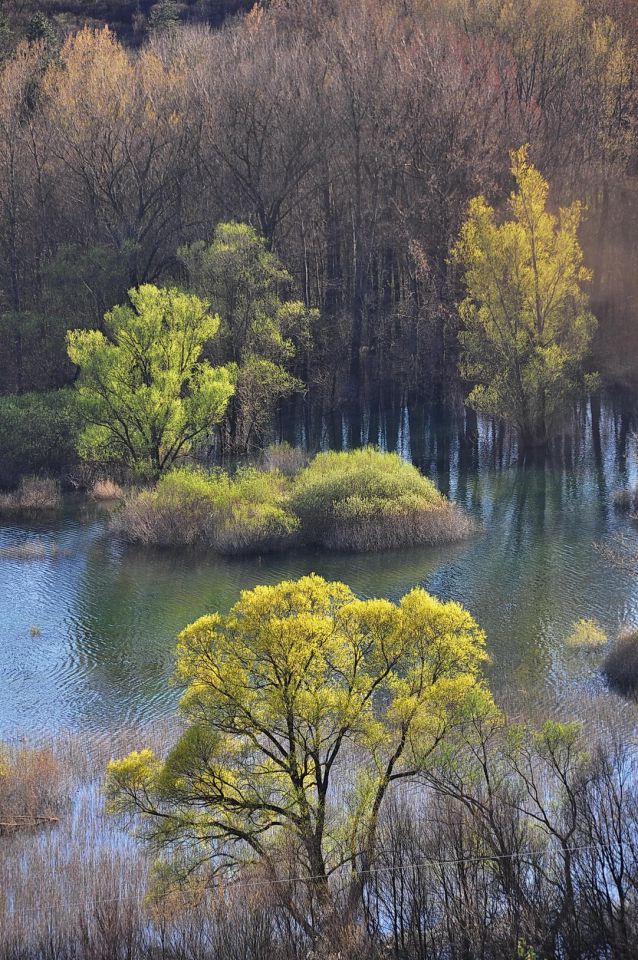 Doberdobsko jezero - foto povečava