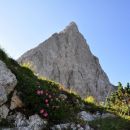 Bovški Gamsovec