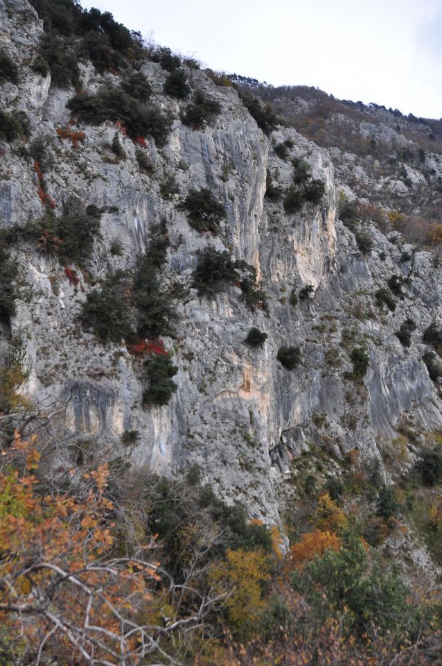 Od lijaka do kopitnika - foto povečava