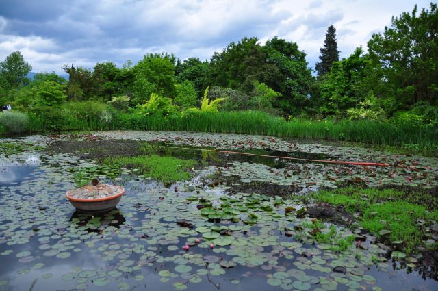 Kostnica oslavje, park pevma - foto