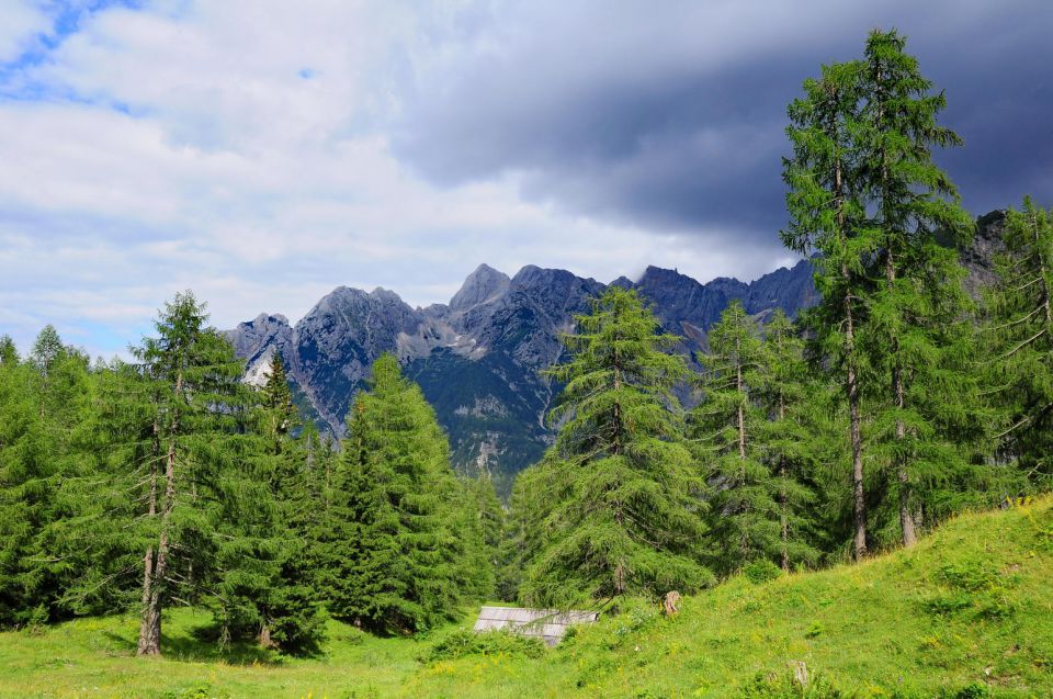 Štirje prelazi - foto povečava