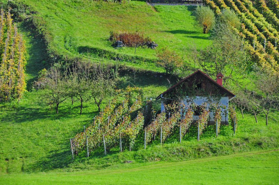 Dolenjska 2 - foto povečava