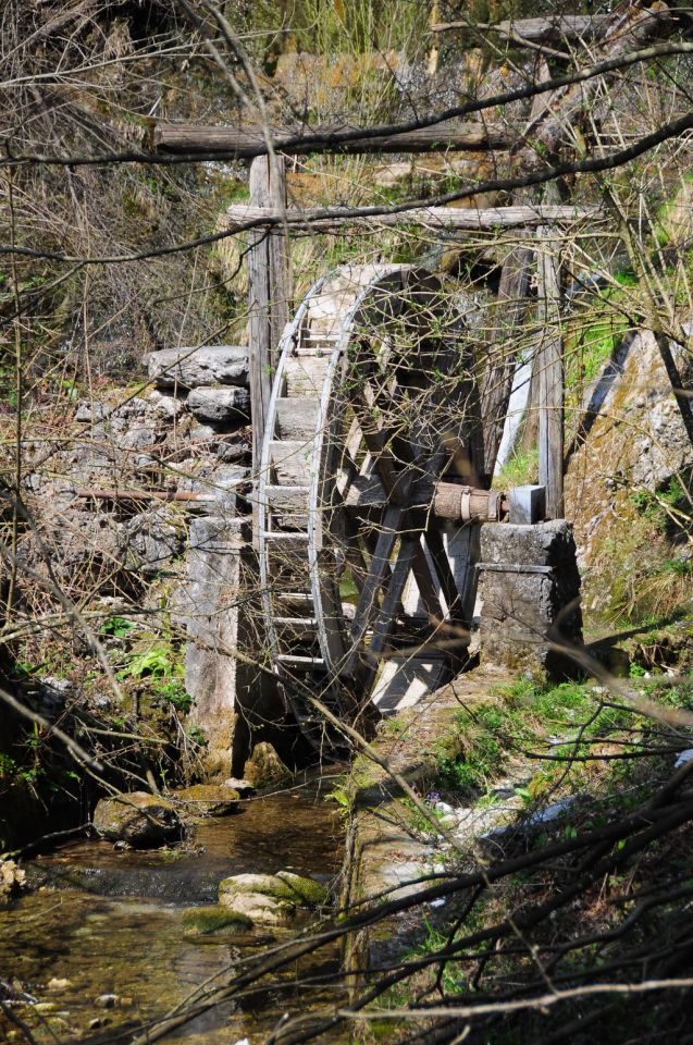 Kure,n vranje peči, zaplana, planina - foto povečava