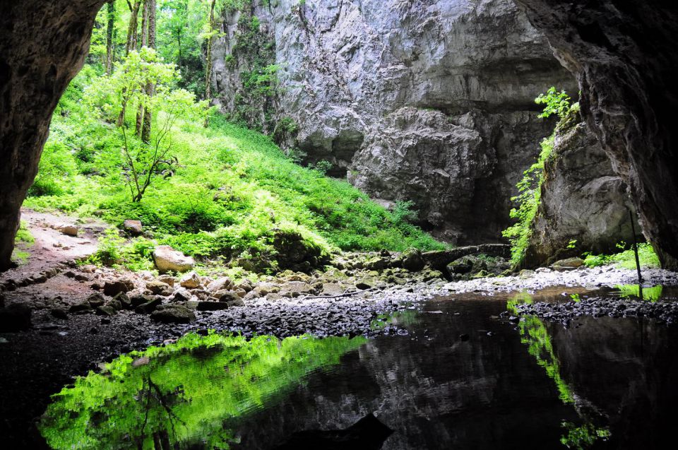 Rakov škocjan, cerknica, slivnica - foto povečava