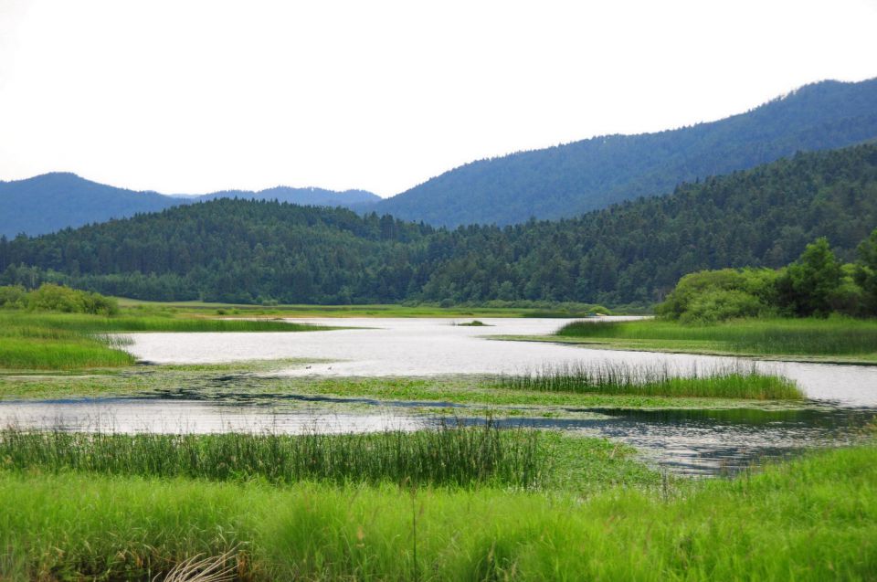 Rakov škocjan, cerknica, slivnica - foto povečava