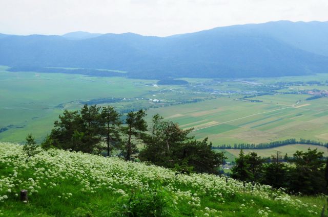 Rakov škocjan, cerknica, slivnica - foto