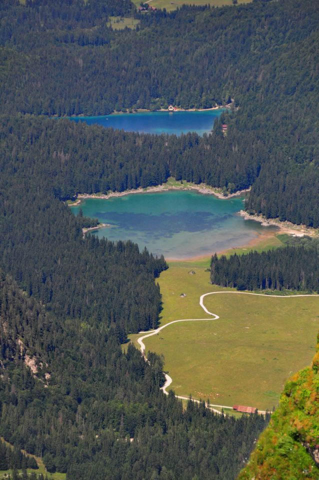 Piknik pod mangrtom - foto povečava