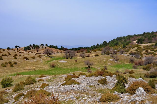 Učka opatija - foto