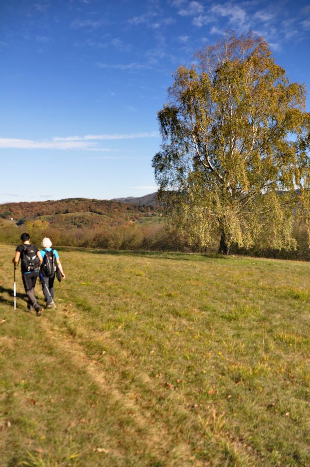 Pohod Grgar 2016 - foto povečava