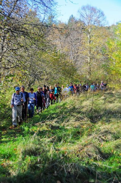 Pohod Grgar 2016 - foto