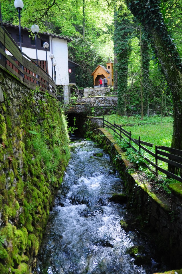 Izvir Ljubljanice, Koren - foto povečava