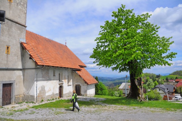 Izvir Ljubljanice, Koren - foto