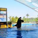 Loro park