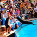 Loro park