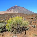 El Teide
