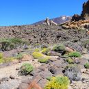 Roques del Garcia