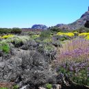 Roques del Garcia