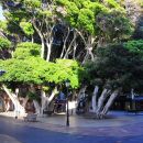 Plaza de Las Americas