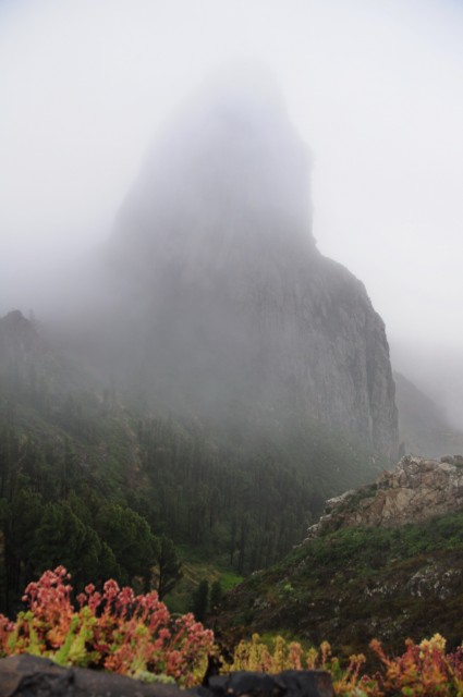Roque de Agando v megli  NP Garajonaj