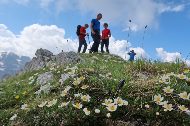 Goličica 10.6.2018 - foto