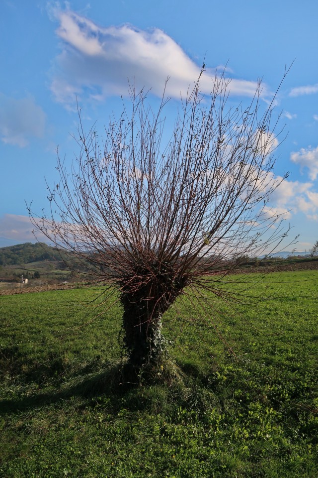 Po Vrtovčevih poteh 2018 - foto povečava