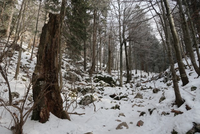 Mali golak 1.1.2019 - foto