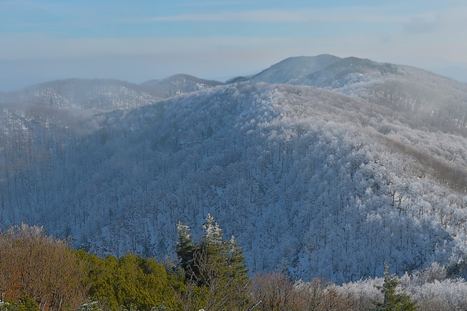 Mali golak 1.1.2019 - foto povečava