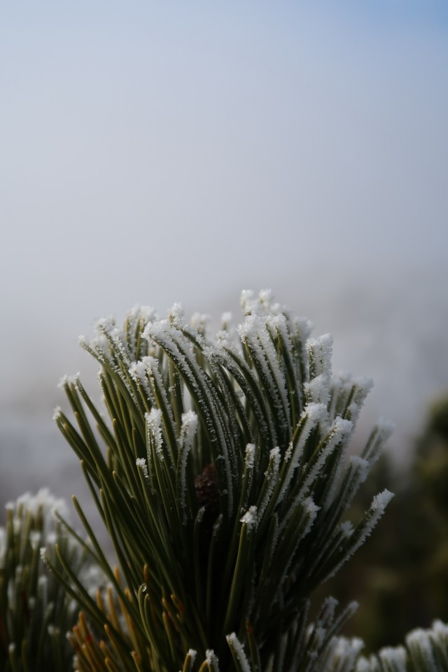 Mali golak 1.1.2019 - foto povečava