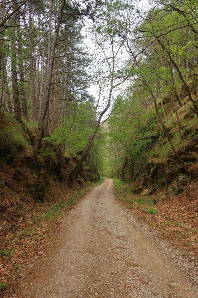 Po dolini Glinščice - foto povečava