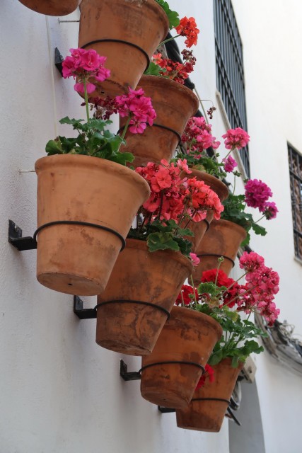 Andaluzija - foto