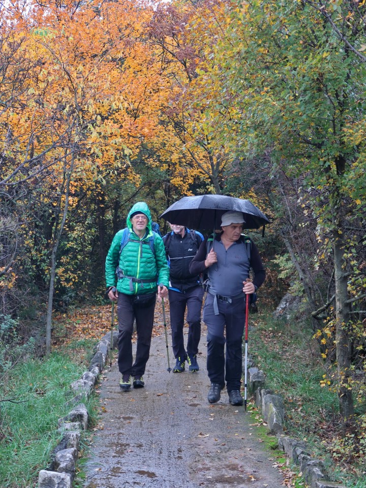 Devinski kras - foto povečava