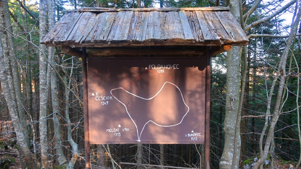 Poldanovec 1.1.2020 - foto povečava