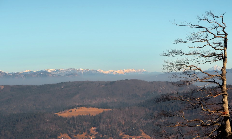 Poldanovec 1.1.2020 - foto povečava