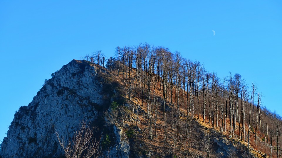 Poldanovec 1.1.2020 - foto povečava