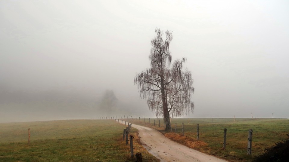 Lavričeva pot Šentvid pri Stični - foto povečava