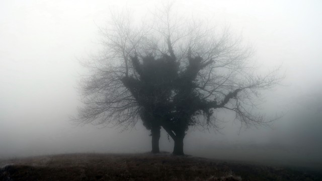 Lavričeva pot Šentvid pri Stični - foto