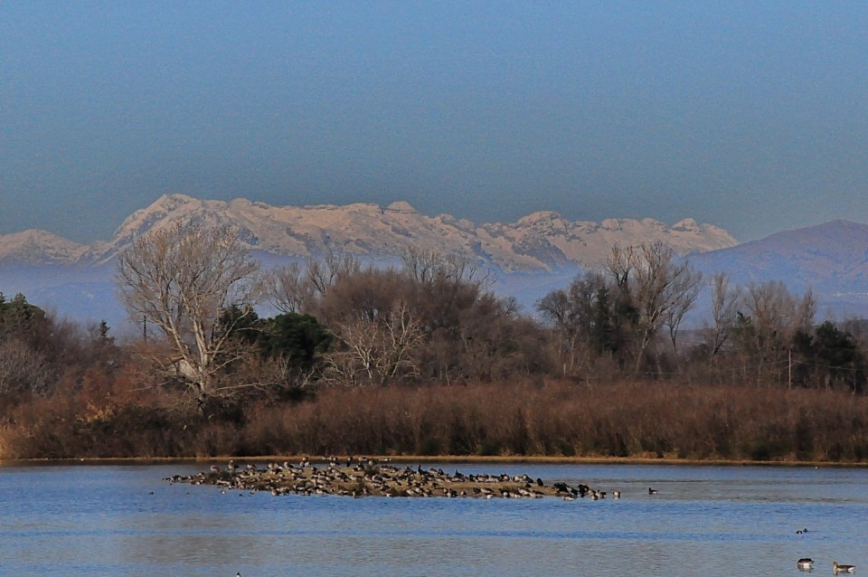 Delta Soče - foto povečava