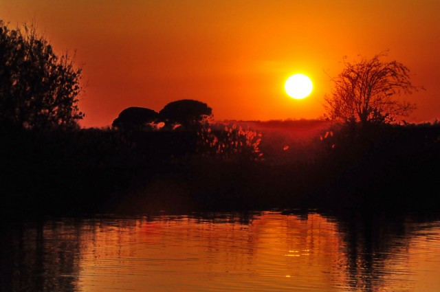 Delta Soče - foto
