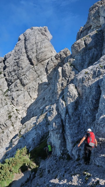 Mangrtska planina, Skala - foto