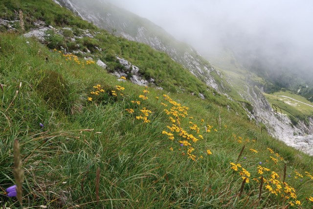 Mangrtska planina, Skala - foto