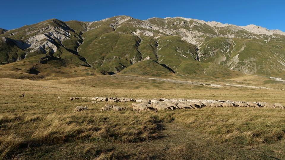 Italija 2020 - foto povečava