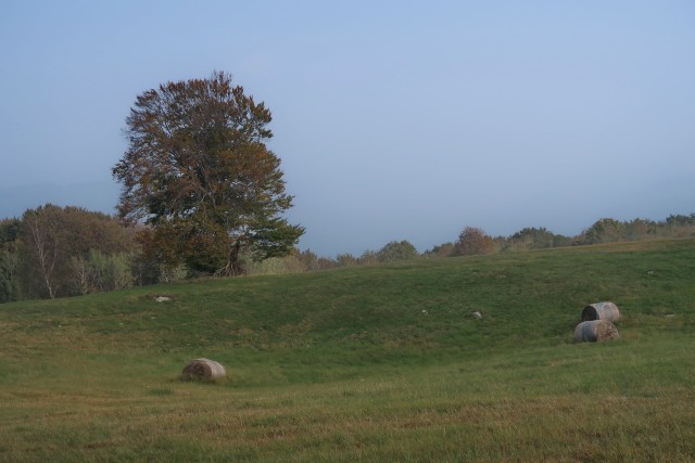 Korada 16.10.2022 - foto