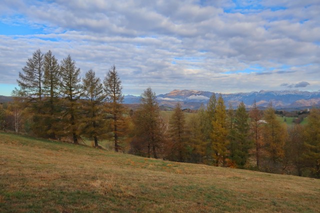 Zgorelc 1 - foto