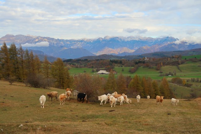 Zgorelc 1 - foto